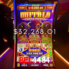 BET4484.Com